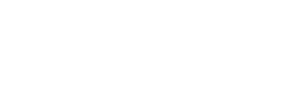 IP Video Specialists, Inc.