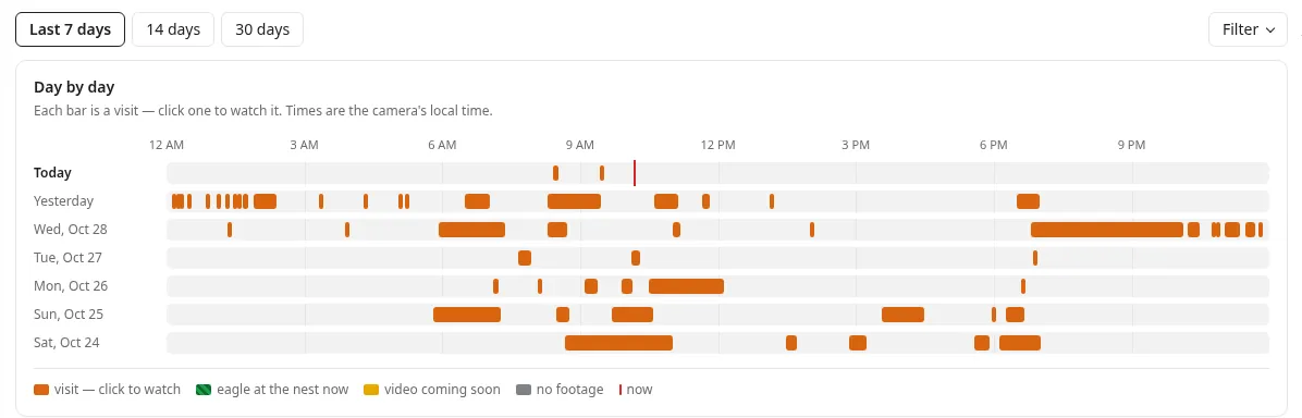 The Day by day chart with one row per day from Today back seven days, orange bars for each visit along a 12 AM to 9 PM timeline and a color key below