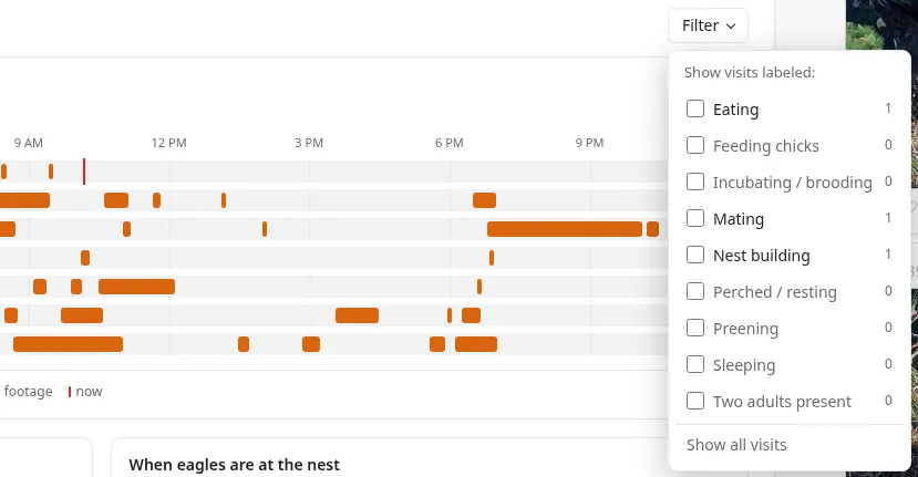 The open Filter menu listing activity labels with checkboxes and a count beside each, such as Eating, Feeding chicks, Mating, Nest building and Preening, plus Show all visits